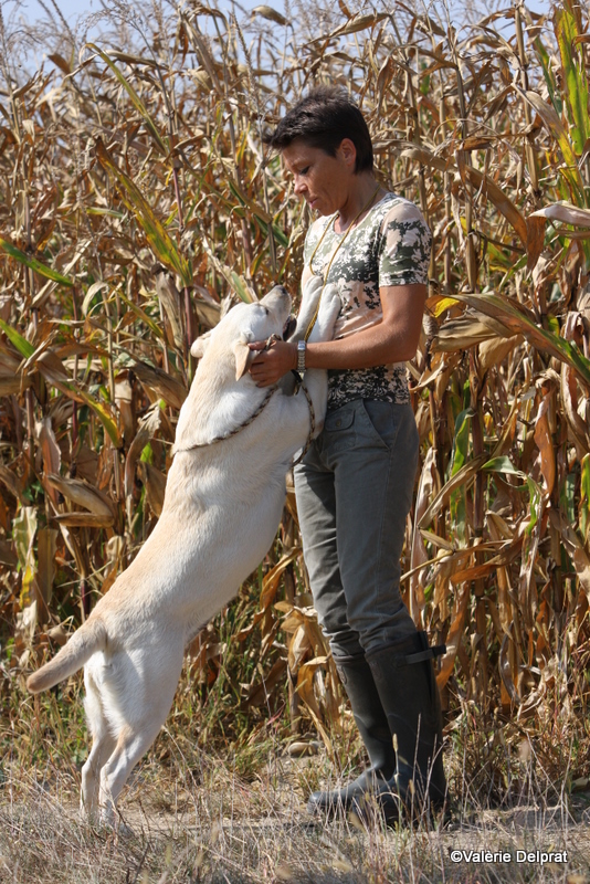 Field Erstein 09 (53).JPG